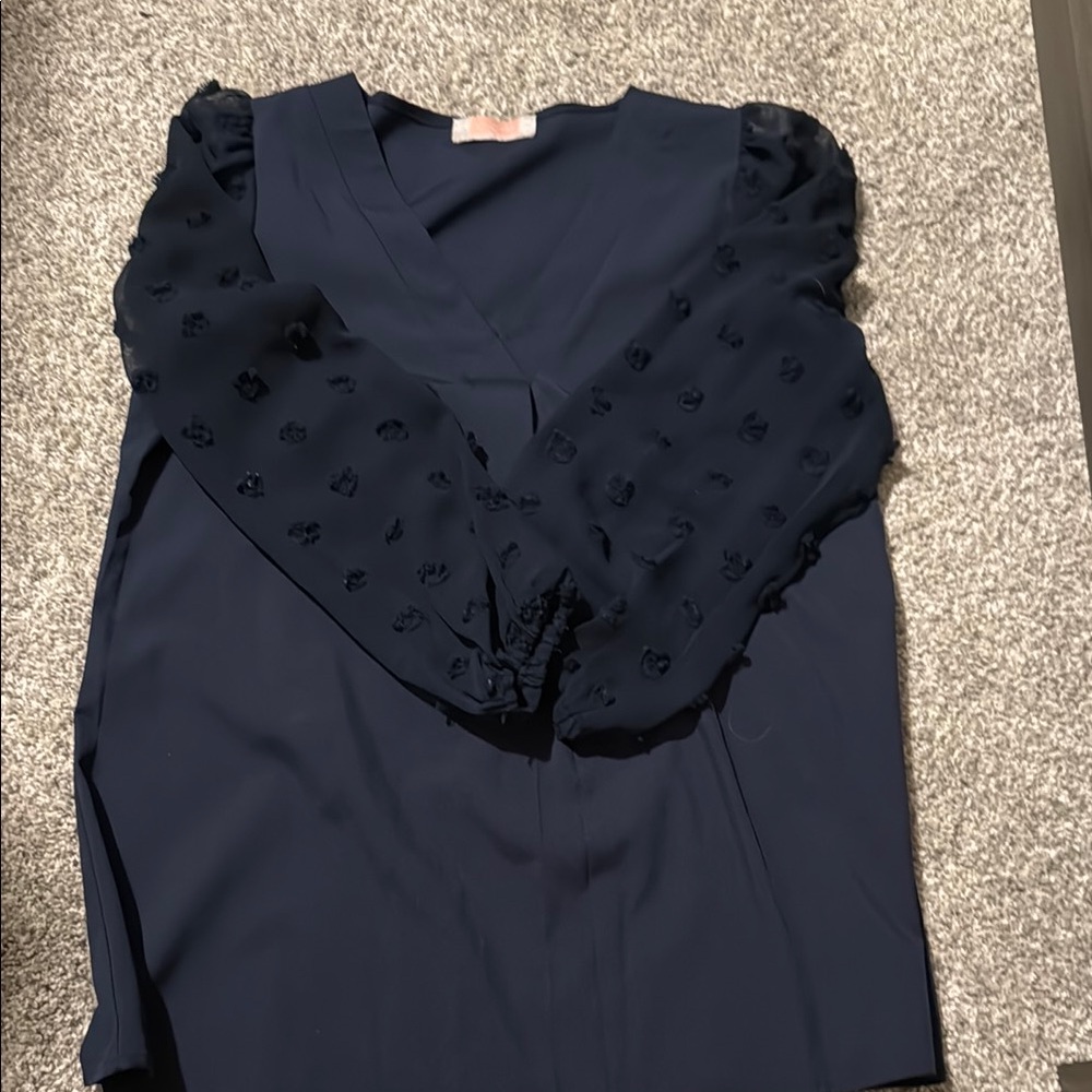 Navy Blouse with Sheer Sleeves